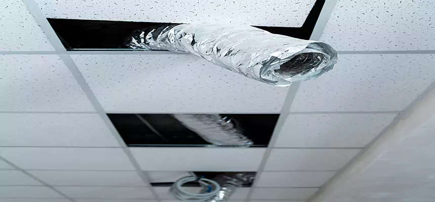 Affordable HVAC Sanitizing After Pest Removal in Brookfield