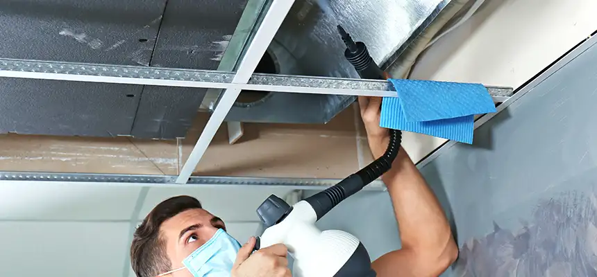 Our Air Duct Rodent Removal Services in Brookfield, WI