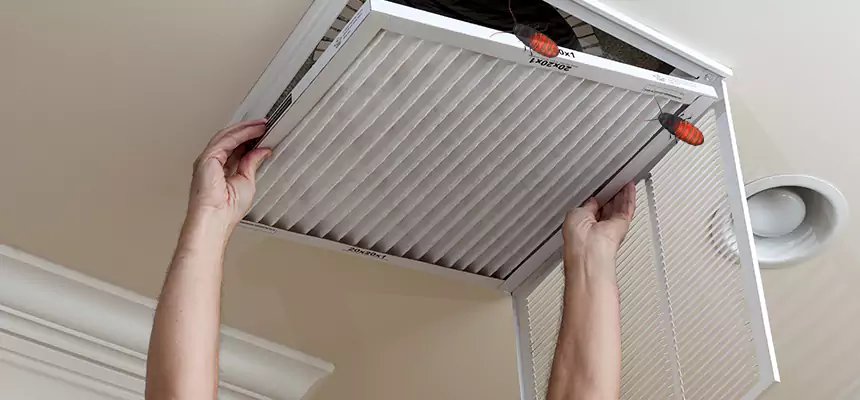 Our Insect Removal from Air Ducts Services in Brookfield, WI