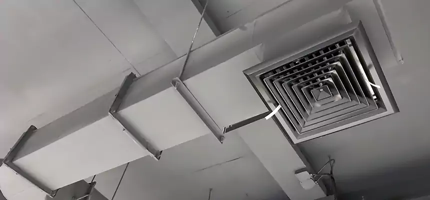 Our Pest Removal From Ducts Services in Brookfield, WI