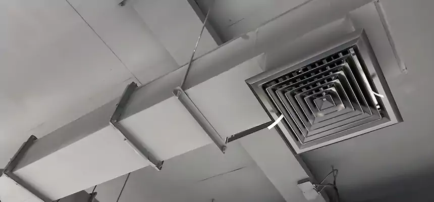 Our Rodent Droppings In Vents Services in Brookfield, WI