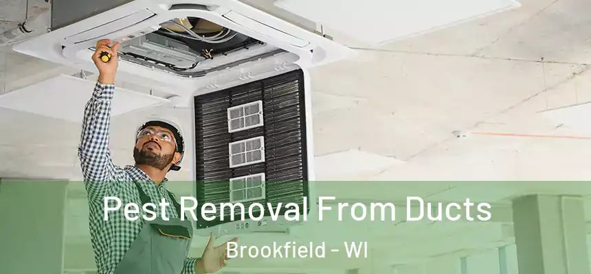  Pest Removal From Ducts Brookfield - WI