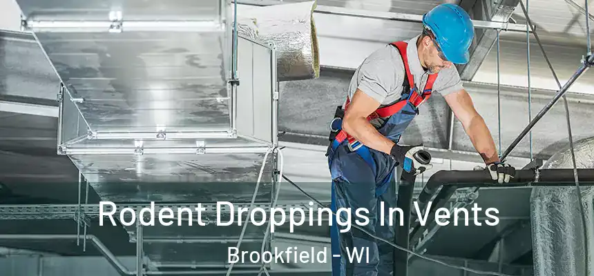  Rodent Droppings In Vents Brookfield - WI