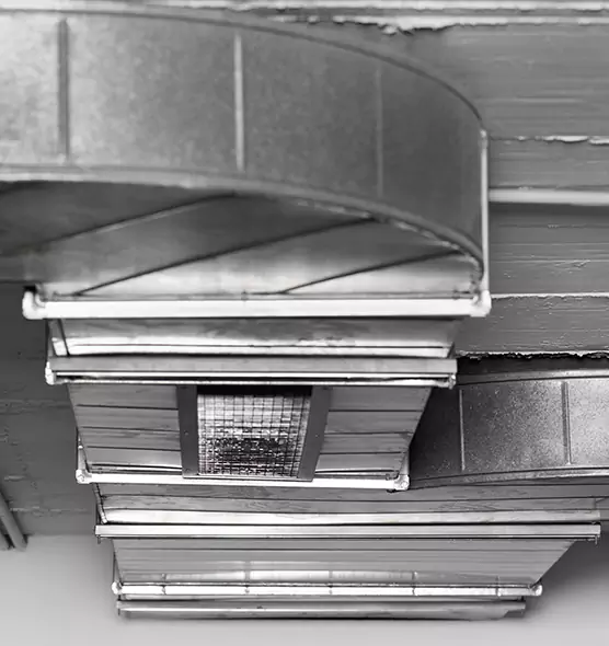 Professional Air Duct Pest Removal in Brookfield, WI