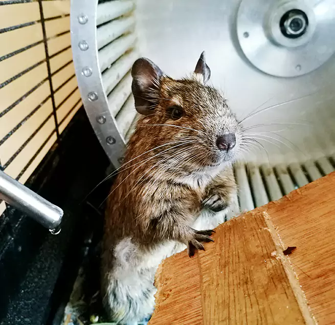 Why Homeowners & Businesses Trust Us Brookfield, WI?